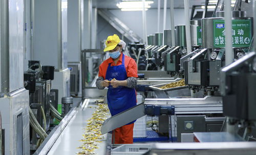 梁平 打造中國西部預(yù)制菜之都