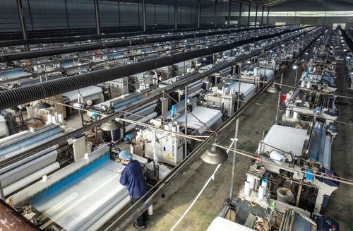 零陵區(qū)黃田鋪鎮(zhèn) 產(chǎn)業(yè)發(fā)展多元化 強鎮(zhèn)建設(shè)動能足