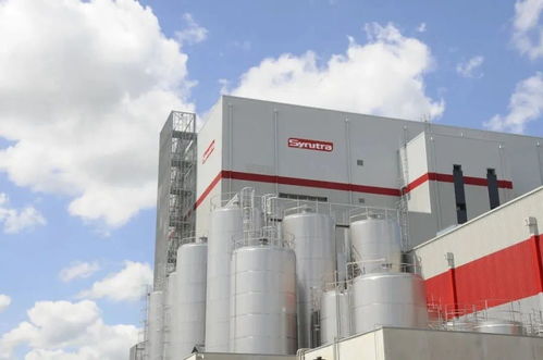 6大端口復盤乳企發展維度，助力下半年大爆發