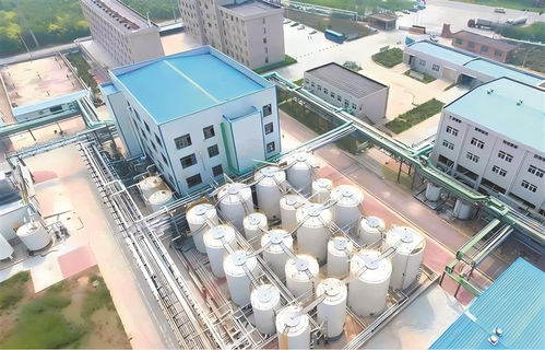 高青 以工業技改驅動引擎，加速企業轉型升級與高質量發展