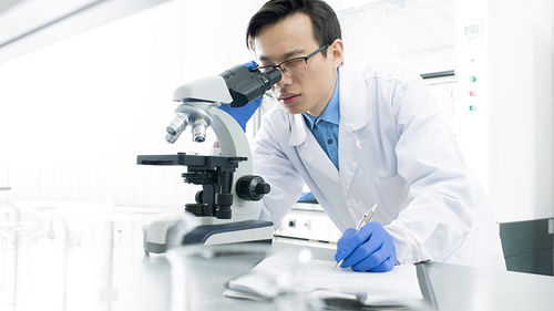 玩具檢測認證 構筑安全防線，驅動行業高質量發展