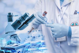 上海化妝品加工廠 如何通過基礎(chǔ)軟件服務(wù)提升生產(chǎn)效能與合規(guī)管理